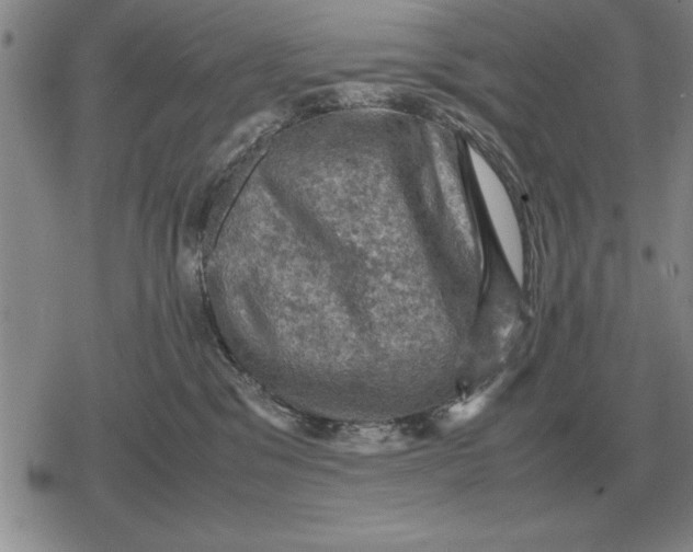 X0000079280329200612081759