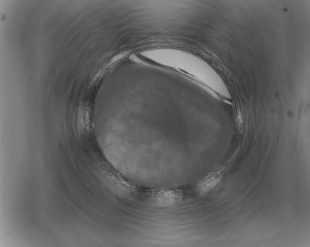 X0000079280330200612081759