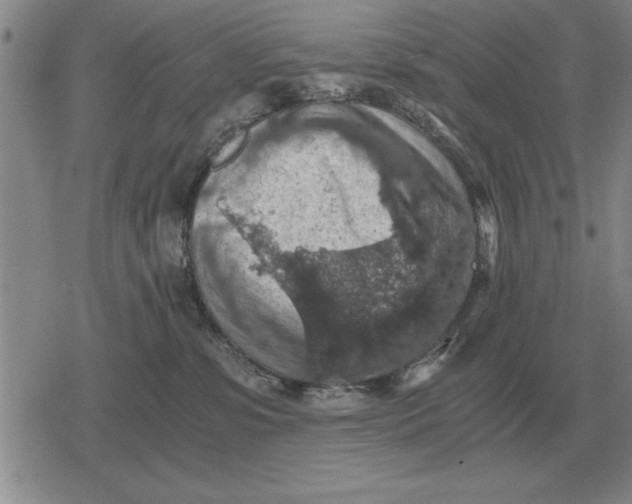 X0000079280331200612081759