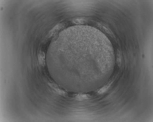 X0000079280332200612081759