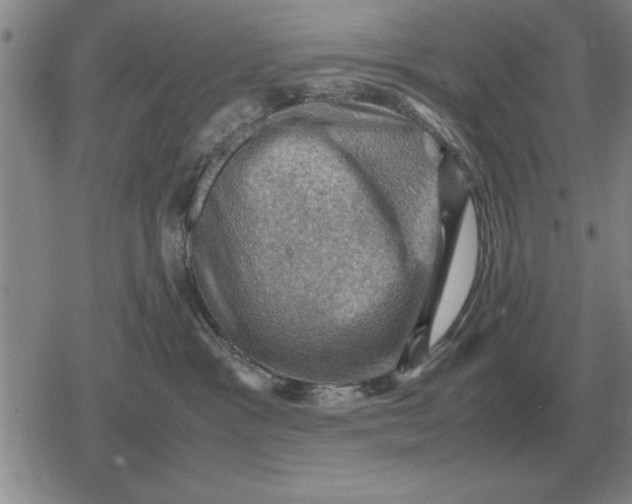 X0000079280333200612081759