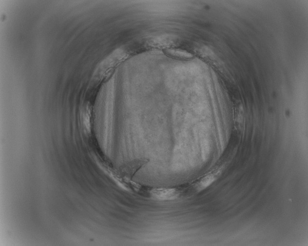 X0000079280334200612081759