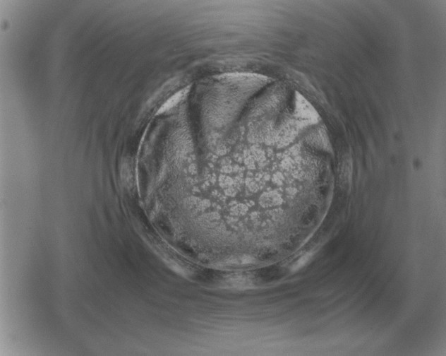 X0000079280335200612081759