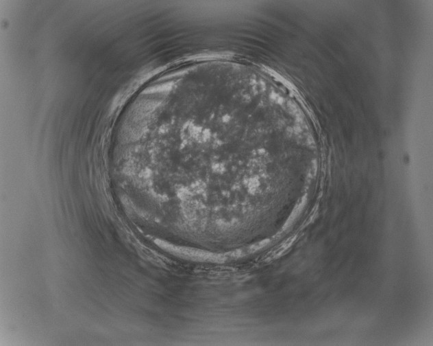 X0000079280337200612081758