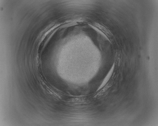 X0000079280338200612081758