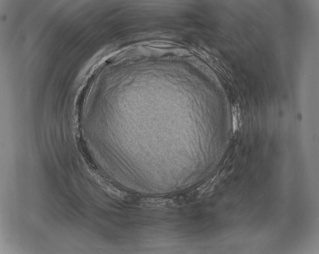 X0000079280339200612081758