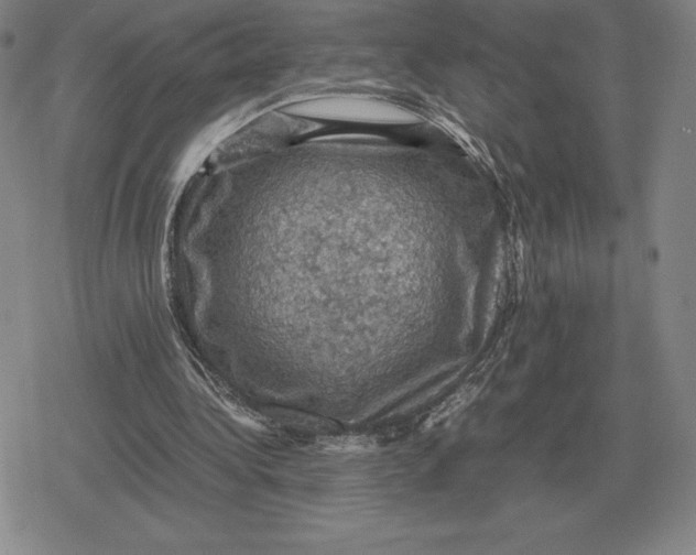 X0000079280340200612081758