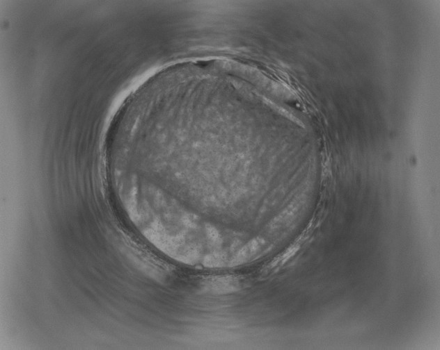 X0000079280342200612081759