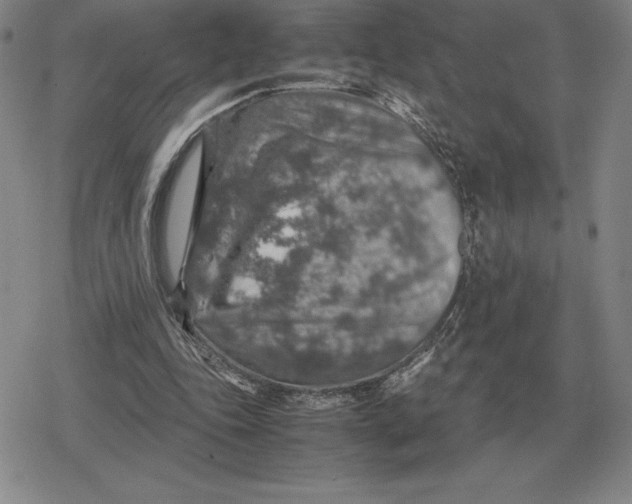 X0000079280343200612081759