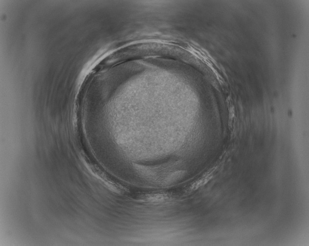 X0000079280344200612081759