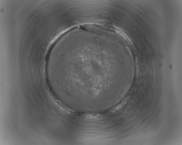 X0000079280346200612081759