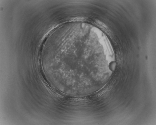 X0000079280347200612081759