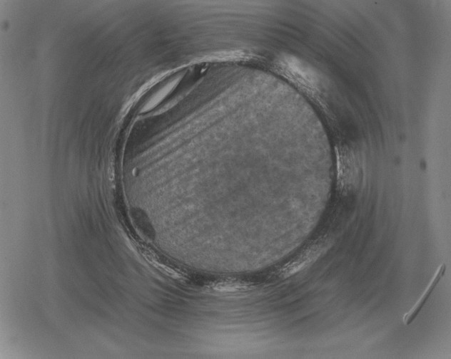 X0000079280348200612081759