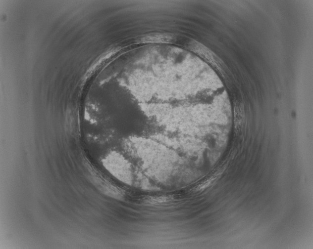 X0000079280349200612081759