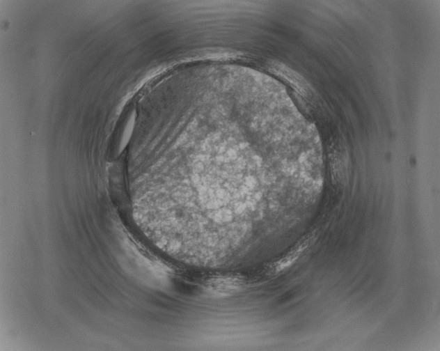 X0000079280350200612081759