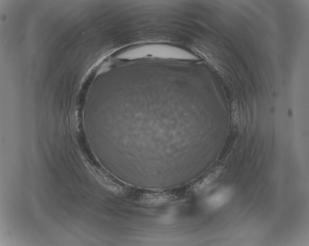 X0000079280351200612081759