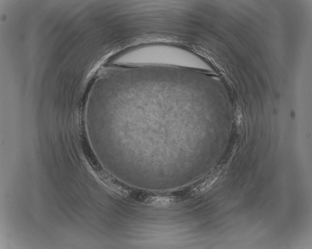 X0000079280352200612081759