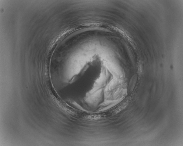 X0000079280353200612081759