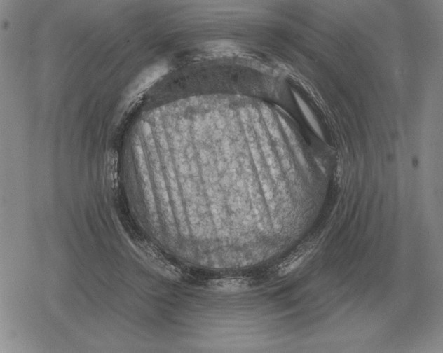 X0000079280356200612081759