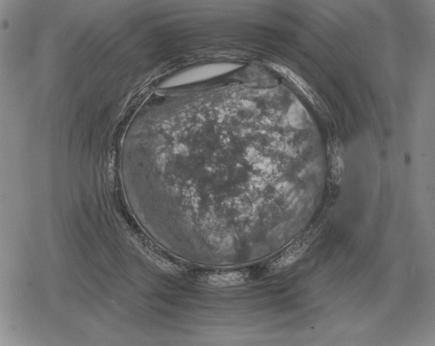 X0000079280357200612081759