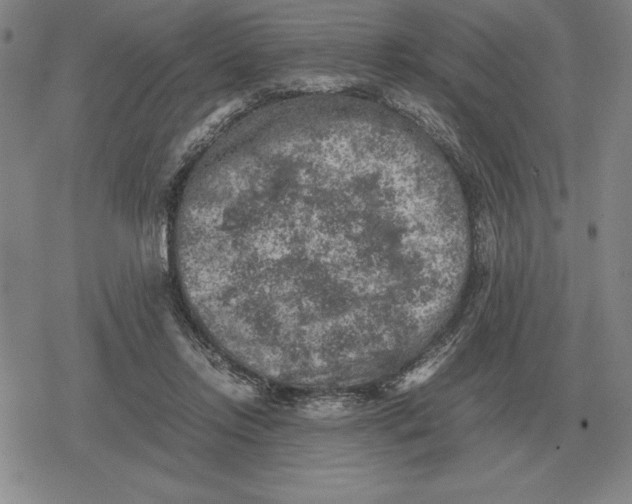 X0000079280358200612081759