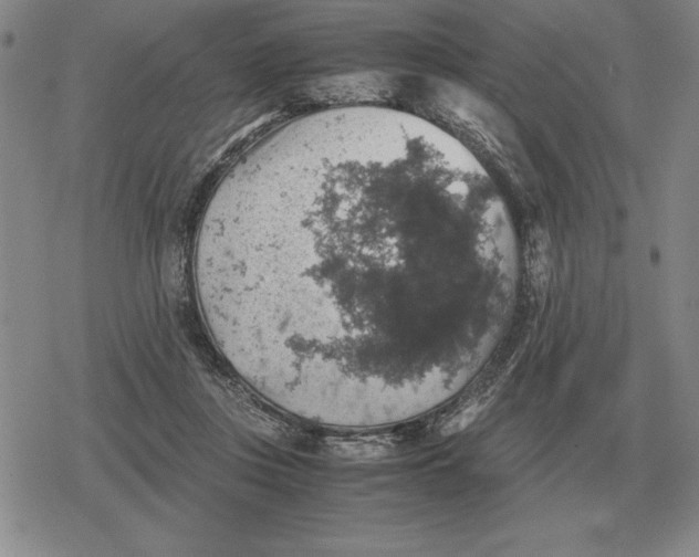 X0000079280359200612081759