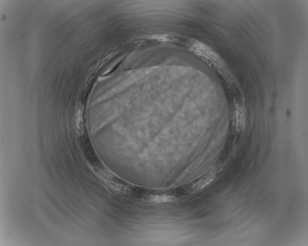 X0000079280360200612081759