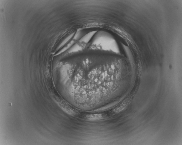 X0000079280361200612081759