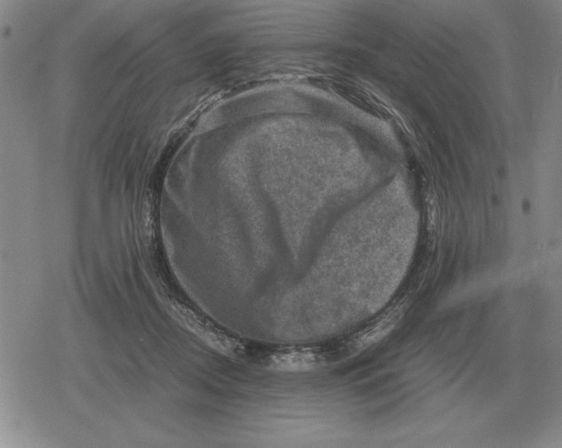 X0000079280362200612081759