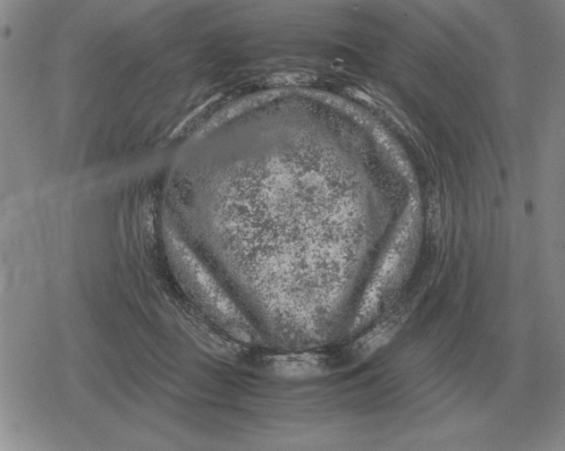 X0000079280363200612081759