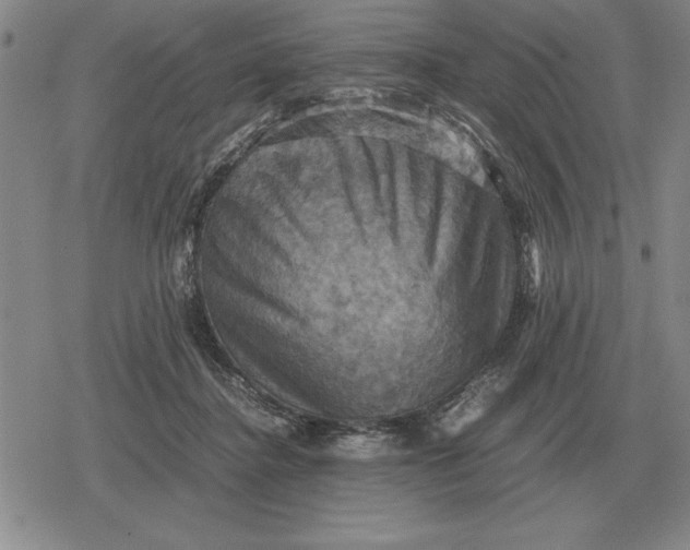 X0000079280364200612081759