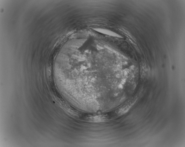 X0000079280365200612081759