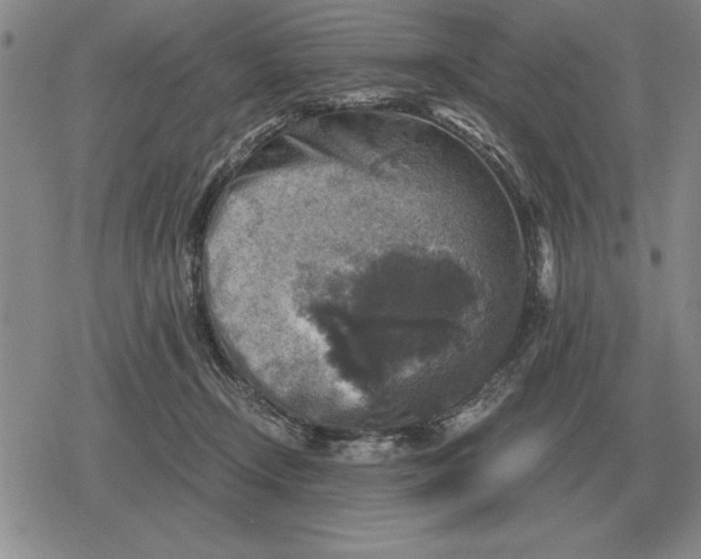 X0000079280366200612081759