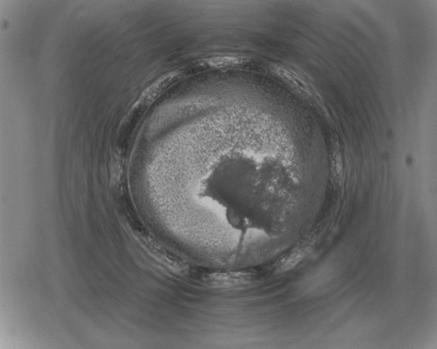 X0000079280367200612081759