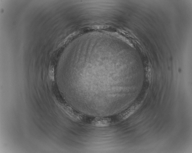 X0000079280368200612081759