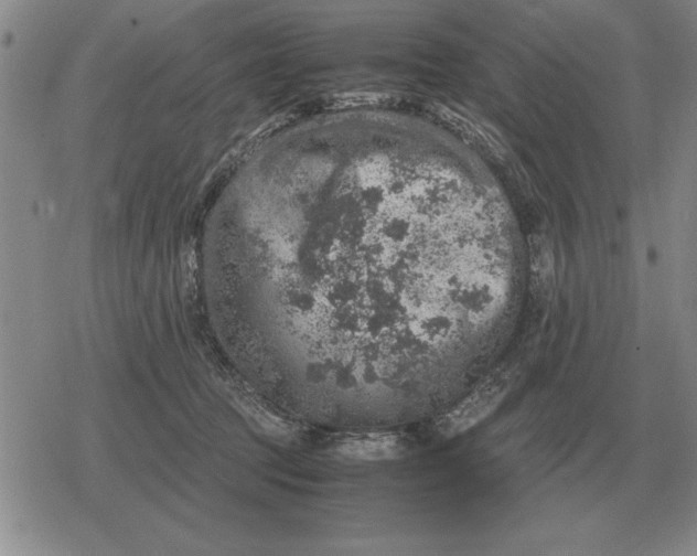 X0000079280369200612081759