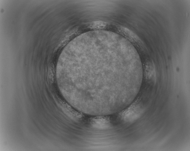 X0000079280370200612081759