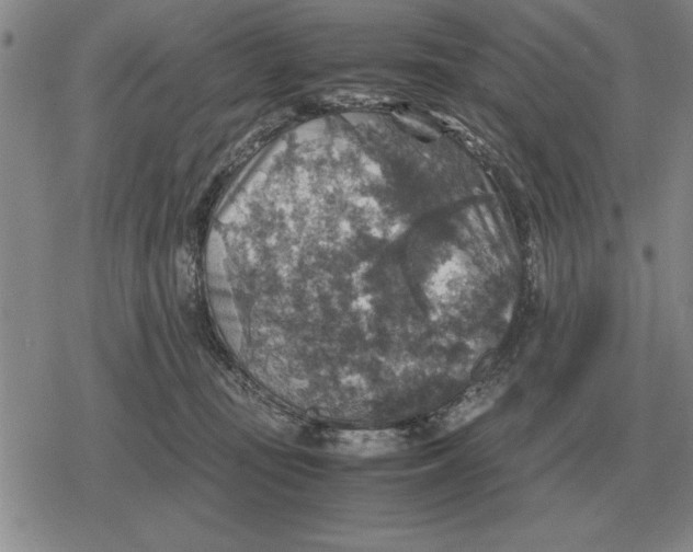 X0000079280371200612081759