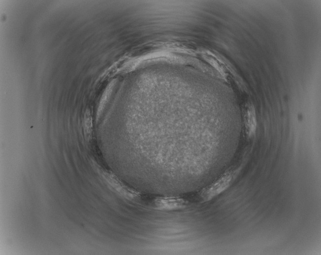 X0000079280372200612081759