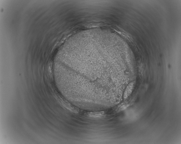 X0000079280373200612081759