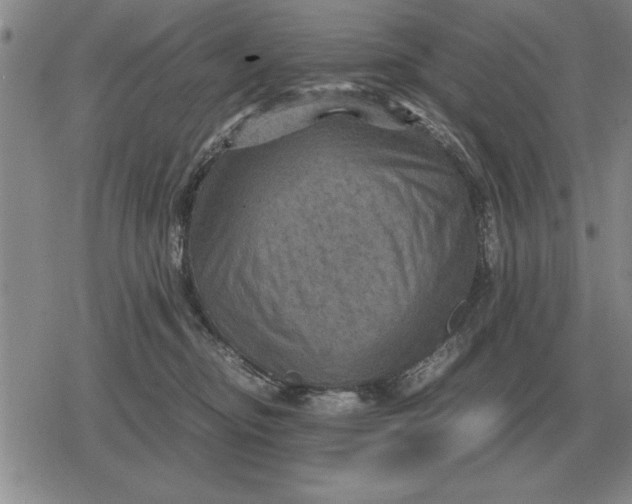 X0000079280374200612081759