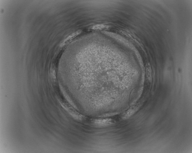 X0000079280375200612081759