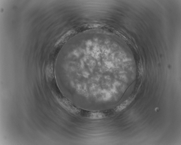 X0000079280376200612081759