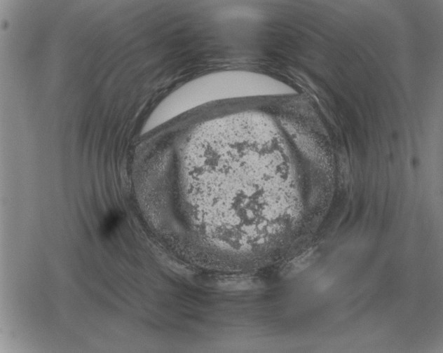 X0000079280377200612081759