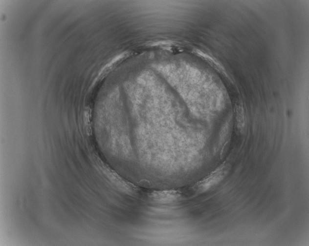 X0000079280378200612081759