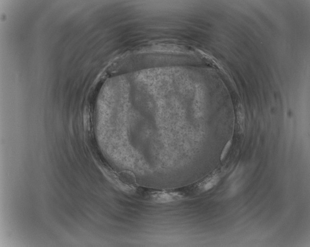 X0000079280379200612081759