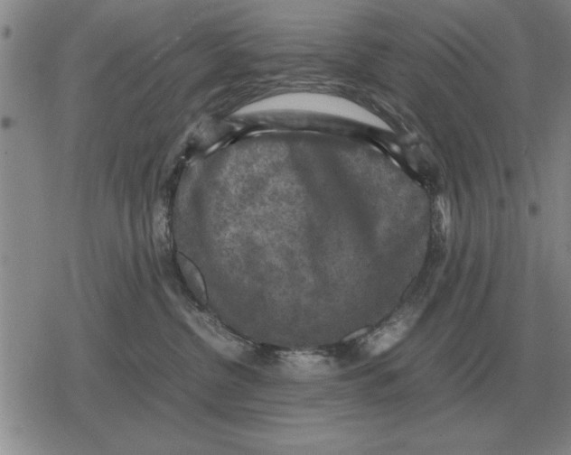 X0000079280380200612081759