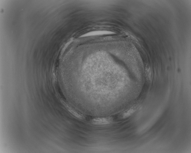 X0000079280381200612081759