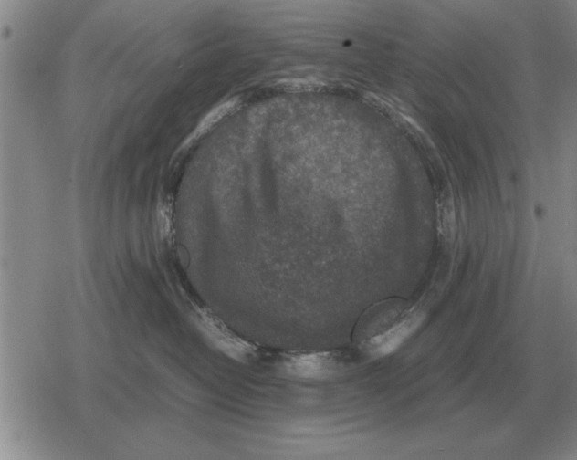 X0000079280382200612081759