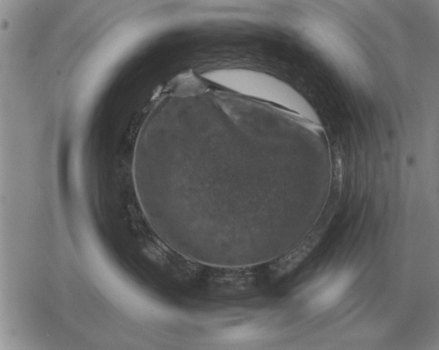 X0000079280383200612081759